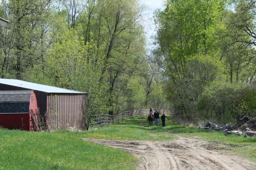 Buck Lake Stables