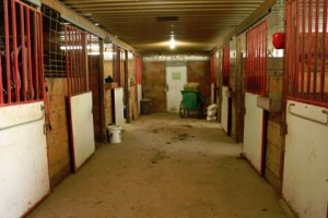 Inside Barn