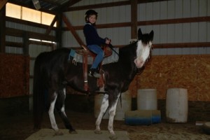 Riding Lessons Continued